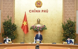 Thủ tướng: Tất cả các cơ quan trở lại làm việc bình thường, không liên hoan, chúc Tết