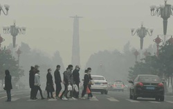 Ô nhiễm không khí có thể làm tăng 20% nguy cơ vô sinh 