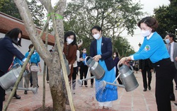 Phát động "Tết trồng cây - Phụ nữ vun trồng tương lai"