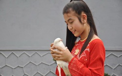 Chuyên gia gợi ý phóng sinh đúng cách trong dịp Rằm tháng Giêng