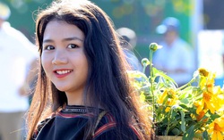 Dã quỳ bung sắc trên đất đỏ bazan