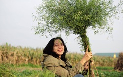 Cuối năm tắm nước lá thơm đón Tết may mắn 