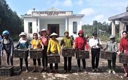 Quảng Trị: Tạo nhiều cơ hội cho phụ nữ vươn lên, xóa đói, giảm nghèo