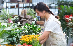Hoa dại, hoa quê đắt hàng trên phố