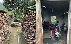 Khởi tố con dâu đốt nhà, đổ thuốc diệt cỏ vào giếng đầu độc nhà chồng 