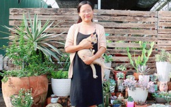Gây dựng vườn xương rồng 100 chủng loại từ số vốn 700 nghìn đồng