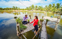 Du lịch nội địa kích cầu giảm giá sâu