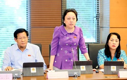 Đại biểu Quốc hội góp ý sôi nổi, thẳng thắn nhiệm kỳ hoạt động của Chính phủ, Quốc hội