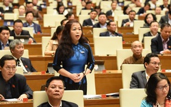 Đại biểu Quốc hội đề xuất đánh giá lại các mức lấy phiếu tín nhiệm