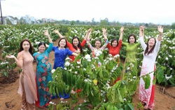 Phụ nữ Đắk Lắk lan tỏa vẻ đẹp áo dài