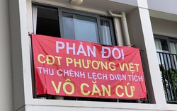 Tranh chấp diện tích căn hộ ở The Pegasuite (Q8, TPHCM): Chủ đầu tư tính thêm lô-gia?