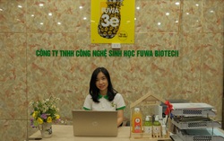 Dùng vỏ dứa sản xuất chất tẩy rửa tự nhiên, chinh phục OCOP 4 sao