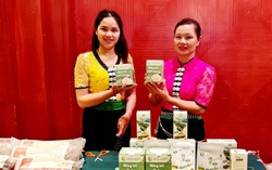 Hơn 8.000 phụ nữ vùng cao Lào Cai và Sơn La được tăng thu nhập 