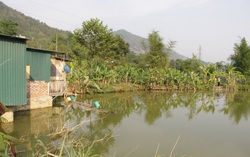 Đi tắm ao, 3 học sinh bị đuối nước thương tâm