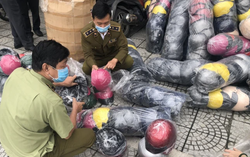 Khởi tố hình sự vụ làm giả mũ bảo hiểm Nón Sơn có giá trị hàng chục tỷ đồng