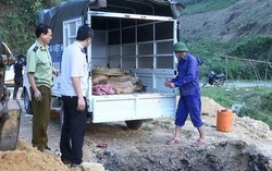 Phát hiện xe tải chở nửa tấn cá tầm nhập lậu từ Trung Quốc
