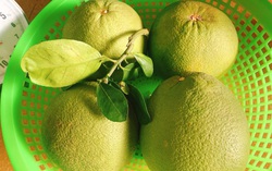 Những tác dụng của quả bưởi đối với sức khỏe