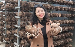 Gây dựng thương hiệu snack nấm để bảo vệ môi trường