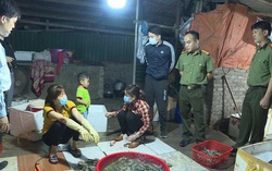 Đột kích cơ sở bơm tạp chất vào tôm để tăng trọng lượng
