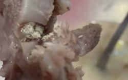 Chủ quán cháo phân trần về thông tin giòi "lúc nhúc" bò ra từ miếng sườn