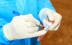 Sở Y tế Hà Nam thông tin về trường hợp ở Lý Nhân mắc Covid-19 sau khi vào Đà Nẵng đón vợ