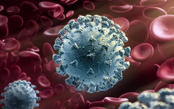 Phát hiện 2 biến chủng virus SARS-Cov-2 mới tại Việt Nam