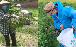 Các khu công nghiệp đã phong tỏa hơn chục ngày, cuộc sống công nhân thực sự khó khăn