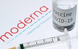 Bộ Y tế đàm phán mua vaccine ngừa Covid-19 Moderna