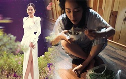 Nam Em vừa lên thảm đỏ với bộ váy trắng tinh khôi, tự bóc ảnh ở nhà gây sửng sốt