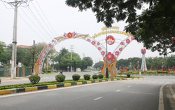 Vĩnh Phúc: Đình chỉ công tác Chủ tịch UBND phường do lơ là trong công tác phòng, chống dịch