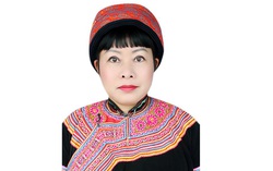 Chương trình hành động của ứng cử viên đại biểu Quốc hội Dương Ánh Phượng
