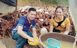 Chi hội trưởng phụ nữ làm kinh tế giỏi