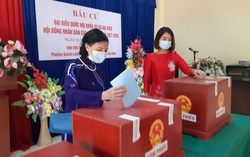 12 đại biểu nữ trúng cử HĐND tỉnh Hòa Bình 