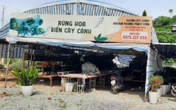 Nghệ An: Đài Khí tượng Thủy văn cho thuê đất công trái phép