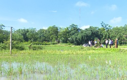Một người ở Phú Thọ tử vong khi thả diều