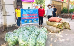 Phụ nữ Lạng Giang giúp người dân tiêu thụ hơn 11 tấn rau quả 