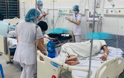 Uống rượu ngâm củ "nhân sâm", 5 công nhân phải nhập viện cấp cứu