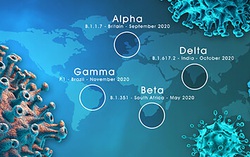 Cảnh báo: biến thể Delta gây ra đợt dịch Covid-19 mới ở châu Âu