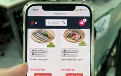 Cảnh báo mạo danh các trang mua sắm online mùa dịch Covid-19 để lừa đảo