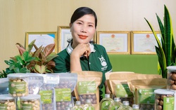 Làm giàu từ trái mắc ca nông sản cao nguyên