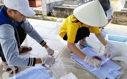 Chấn chỉnh phá thai trái phép tại phòng khám tư
