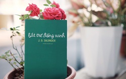 Sức sống lâu dài của tiểu thuyết “Bắt trẻ đồng xanh”