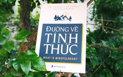 Bình lặng tâm trí để đối diện với khó khăn, khủng hoảng