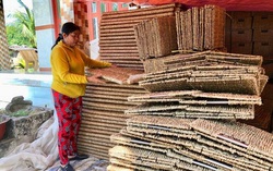Vĩnh Long: Nhiều dự án khởi nghiệp tiếp tục phát triển trong đại dịch Covid-19