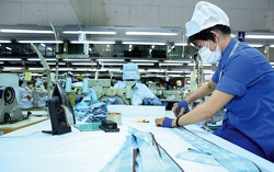 TPHCM: Có hơn 400 doanh nghiệp được phép vừa sản xuất, vừa cách ly