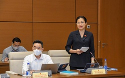 Đề nghị Chính phủ đánh giá kỹ lưỡng hơn vấn đề gia đình bị ảnh hưởng bởi Covid-19