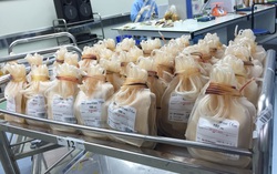 Dịch diễn biến phức tạp, máu cho điều trị cần hơn lúc nào hết