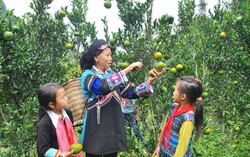 Cần cụ thể hóa các tiêu chí để bảo đảm vai trò phụ nữ xây dựng nông thôn mới