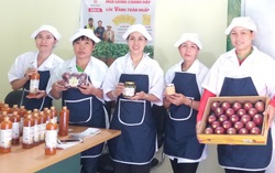 Từ cây chanh trong vườn nhà