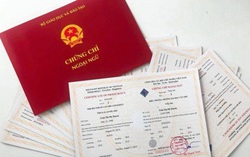 Từ 1/8, bỏ chứng chỉ tin học, ngoại ngữ đối với công chức